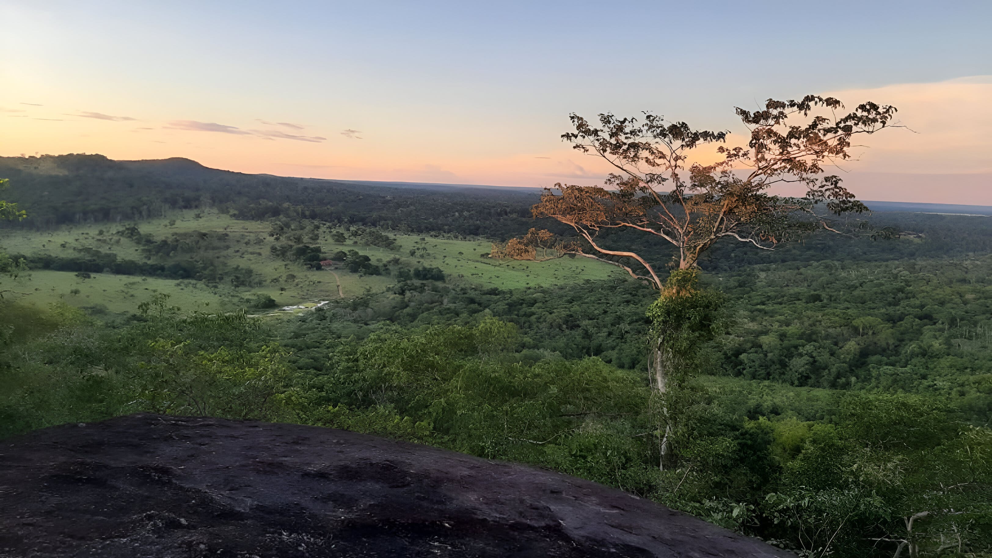 Sistema de Alerta Temprana